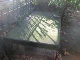 image of grave number 676873